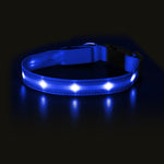 MASBRILL LED Dog Cat Puppy Pet Waterproof Collar USB Rechargeable Various Colors