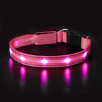 MASBRILL LED Dog Cat Puppy Pet Waterproof Collar USB Rechargeable Various Colors