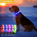 MASBRILL LED Dog Cat Puppy Pet Waterproof Collar USB Rechargeable Various Colors