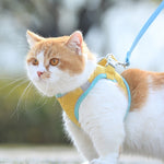 Pet Dog Cat Training Chest Harness with Reflective Collar. Various Colors