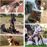 Tactical Dog Harness , 4 Buckles , Working Dog MOLLE Vest with Handle for Easy Lift and More Control