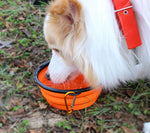 Folding Silicone Pet Bowl for Everyday Use and Travel.  Dog Cat Puppy Portable Food and Water Bowl for All Size Pets