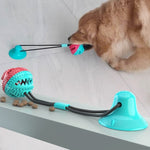 Multifunction Dog Molar Bite Non Toxic Toys Chew Ball Cleaning Teeth Safe Elasticity TPR Suction Cup