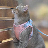 Pet Dog Cat Training Chest Harness with Reflective Collar. Various Colors