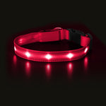 MASBRILL LED Dog Cat Puppy Pet Waterproof Collar USB Rechargeable Various Colors