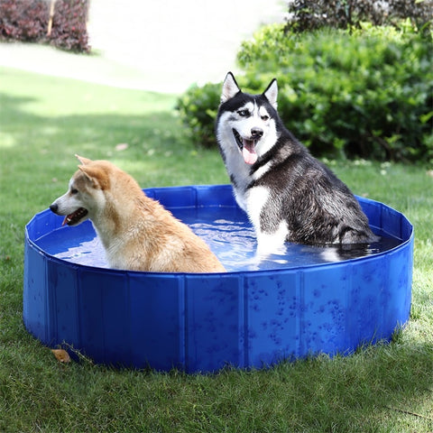 Foldable Pet Swimming Pool Portable Outdoor Pet Bathing Tub  & Cooling Kiddie Pool