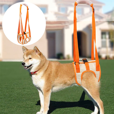 Pet Dog Mesh Leashes Assist Harness Rear Lifting Brace Harness for Older Dogs Aid Assist Tool Rehab Harness