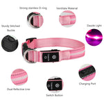 MASBRILL LED Dog Cat Puppy Pet Waterproof Collar USB Rechargeable Various Colors