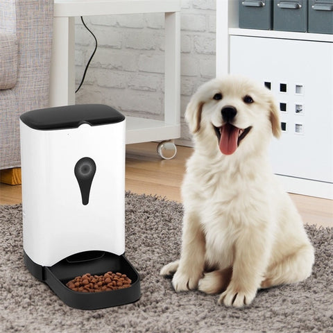 Automatic Food Dispenser for Dog Cat Puppy Pet Voice Recorder LCD Display