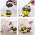 Interactive Cat Dog Toy IQ Treat Dispenser