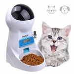 Iseebiz 3L Automatic Pet Feeder With Voice Record 4 Feeds per Day