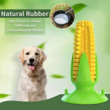 Dog Chew Toys Tough Chews Teeth Cleaning Dog Toothbrush Interactive Pets Training Toys Durable Pet Supply