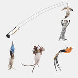 Interactive Cat Kitten Stick Toy with Suction Cup and Funny Bird Feather