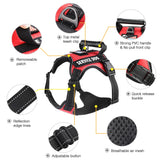 Service Dog Reflective Dog Harness with 4' 11" Traction Leash SetVarious Colors and Sizes