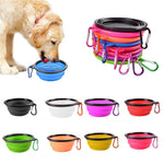 Folding Silicone Pet Bowl for Everyday Use and Travel.  Dog Cat Puppy Portable Food and Water Bowl for All Size Pets