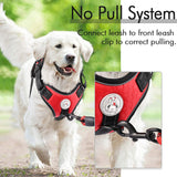 Service Dog Reflective Dog Harness with 4' 11" Traction Leash SetVarious Colors and Sizes