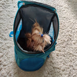 Pet Carrier Bag Backpack/Frontpack Collapsible Breathable for Small Medium Cat Dog Puppy Pet in 2 Sizes