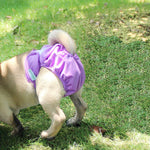 No Leak Reusable Washable Dog Puppy Diapers, Highly Absorbent with Strong & Flexible Velcro