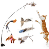 Interactive Cat Kitten Stick Toy with Suction Cup and Funny Bird Feather