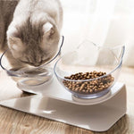 Hot Non-Slip Cat Dog Pet Bowl With Stand for Food and Water