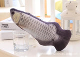 Fish 3D Shaped Cat Toy with Catnip Flavor