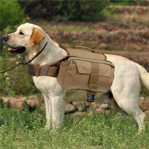 Dog Camping Backpack Harness for Medium to Large  Dog  
Outdoor Backpack for Dogs to Wear