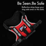 Service Dog Reflective Dog Harness with 4' 11" Traction Leash SetVarious Colors and Sizes