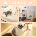 Interactive Cat Kitten Stick Toy with Suction Cup and Funny Bird Feather