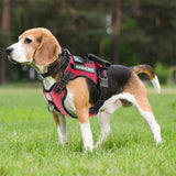 Service Dog Reflective Dog Harness with 4' 11" Traction Leash SetVarious Colors and Sizes